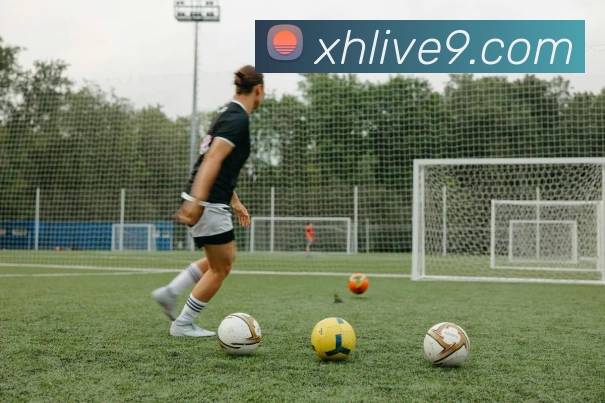 星辉娱乐官网APP 封面图